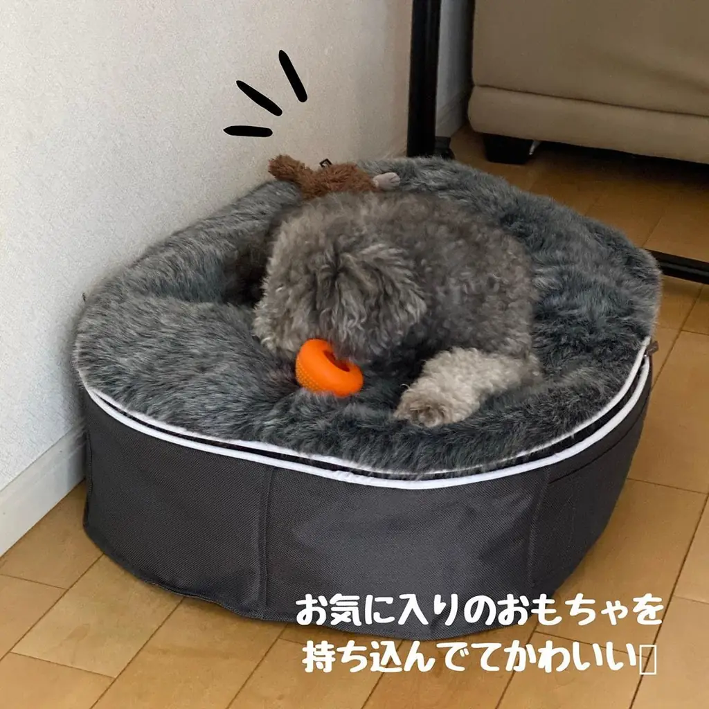 Бишон-фризе на лежаке Pet Lounge Small