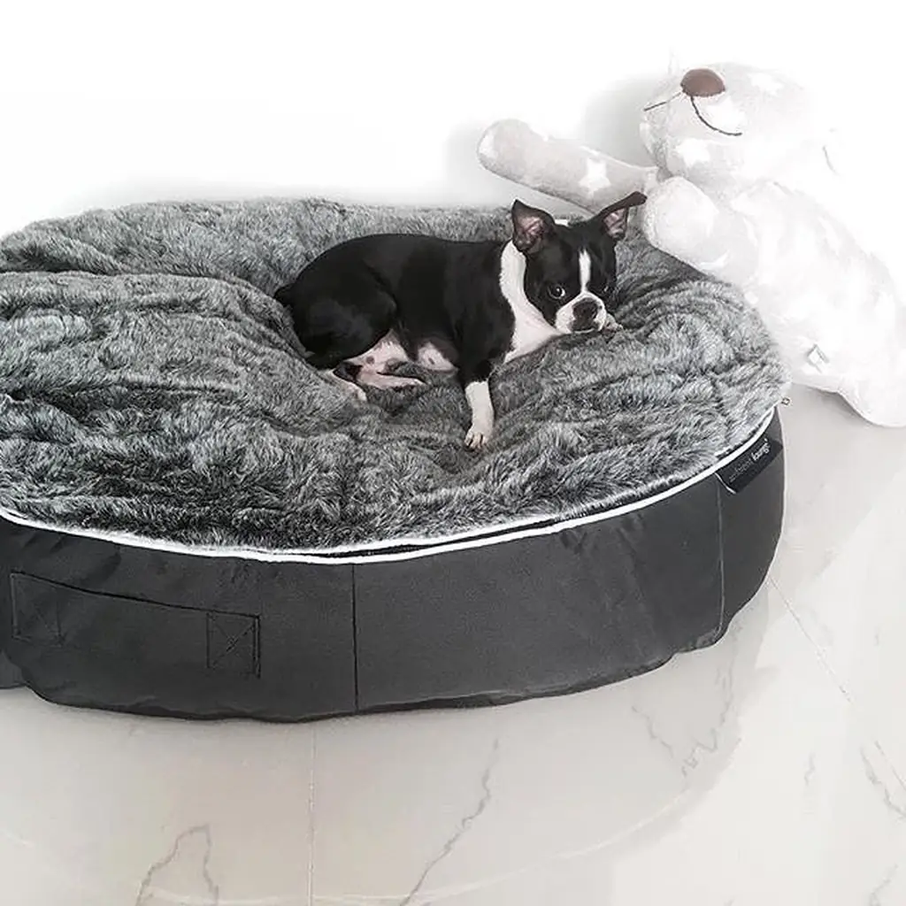 Бостон-терьер на лежаке Pet Lounge Medium