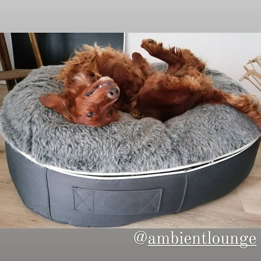 Ирландский красный сеттер на лежаке Pet Lounge Large