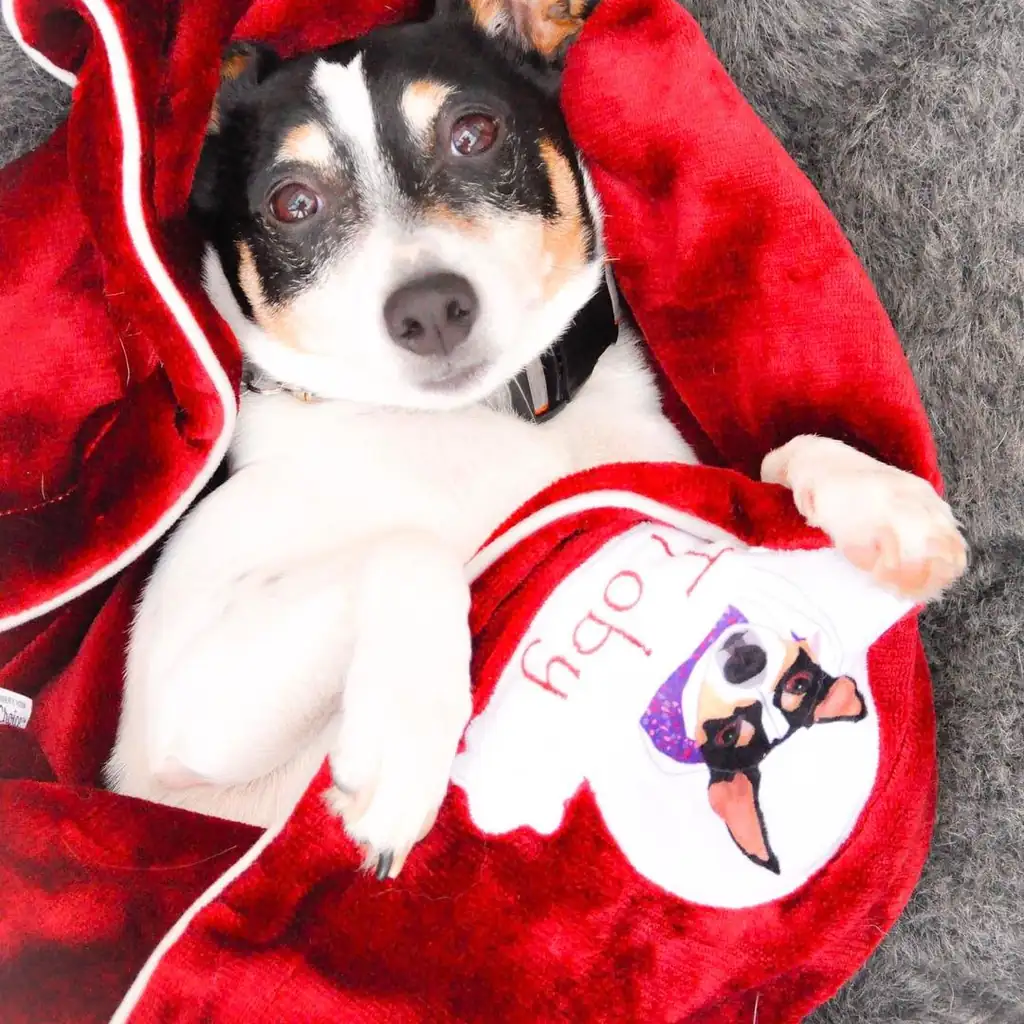 Парсон-рассел терьер на лежаке Pet Lounge Small
