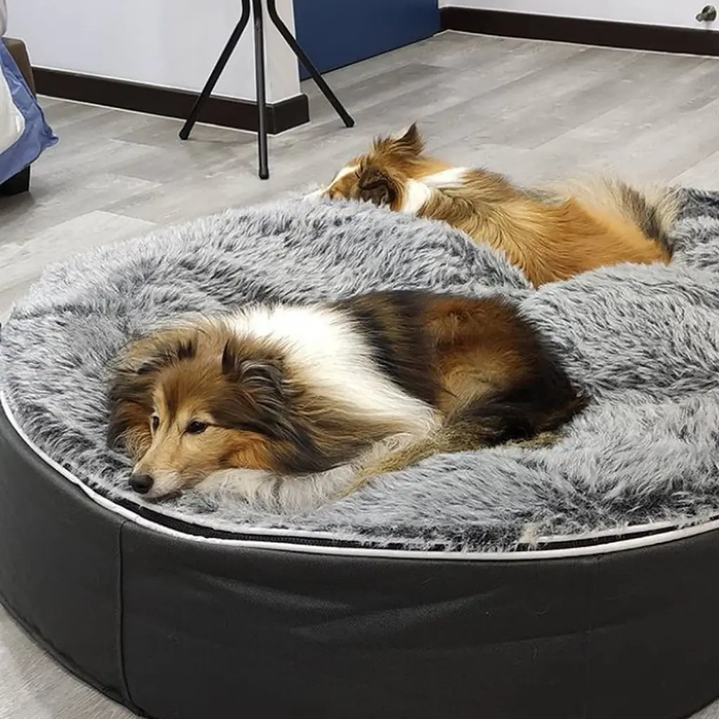 Шотландская овчарка (Rough Collie) на лежаке Pet Lounge Large