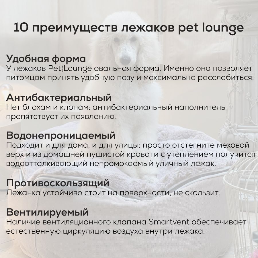 Лежак для собак Pet Lounge Large - Cappuccino (Premium) — фото в интерьере