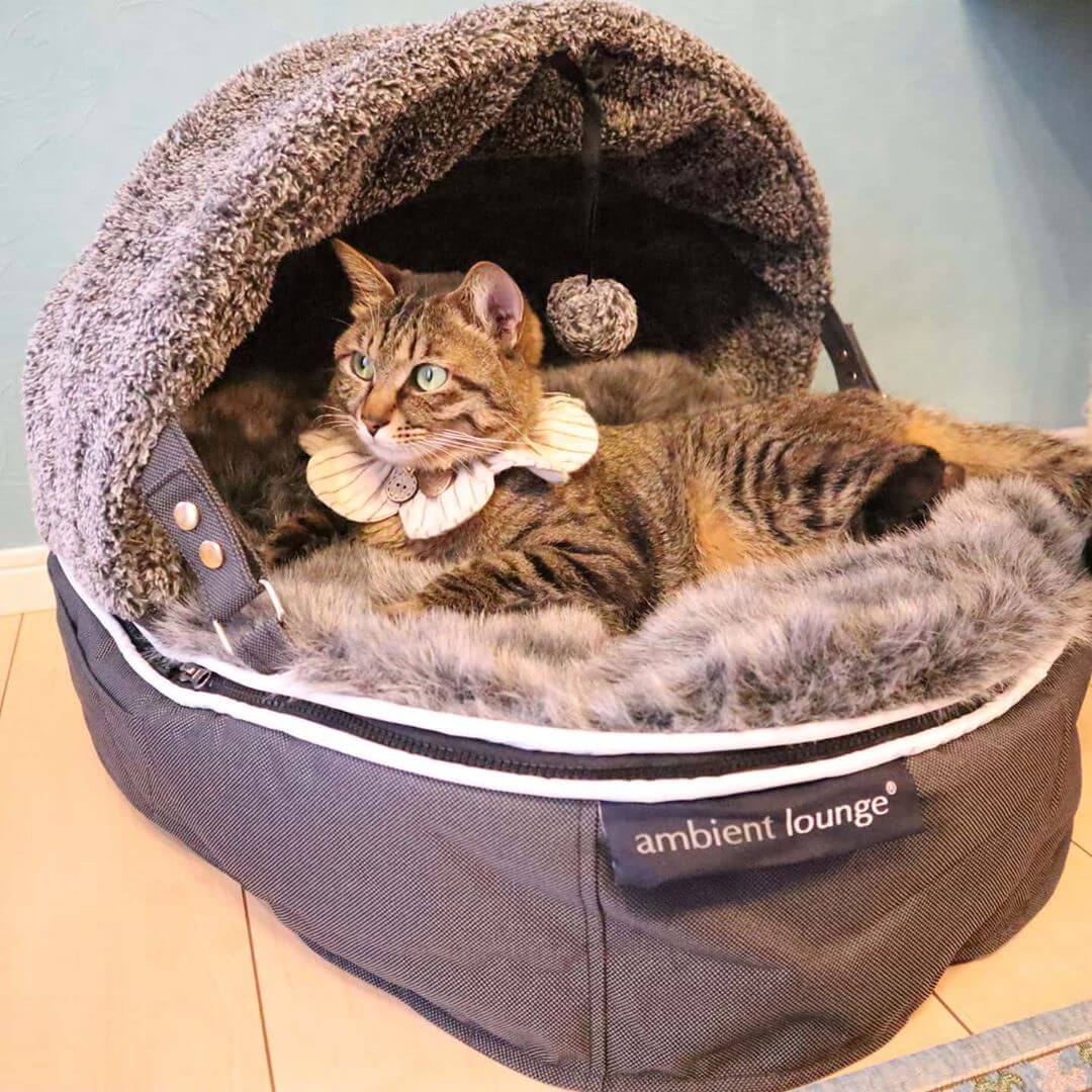 Лежак для кошек Pet Lounge Small - Dark Grey (Hoodie) — крупный план