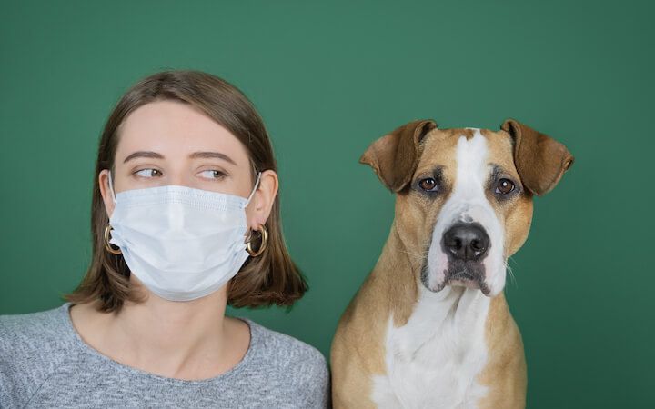 COVID19 - Самоизоляция и наши питомцы. Забота о собаках и кошках во время кризиса Коронавируса ... или это они заботятся о нас?