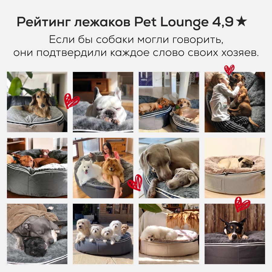 Лежак в интерьере гостиная