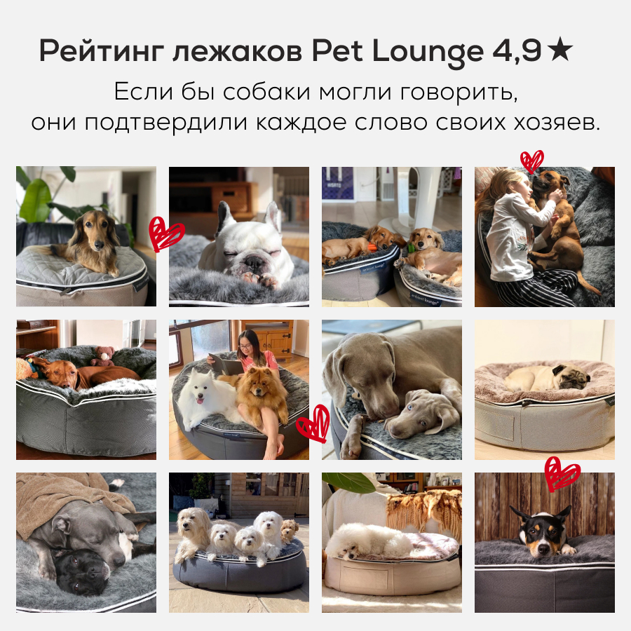 Лежак для собак Pet Lounge XXL - Cappuccino (Premium)