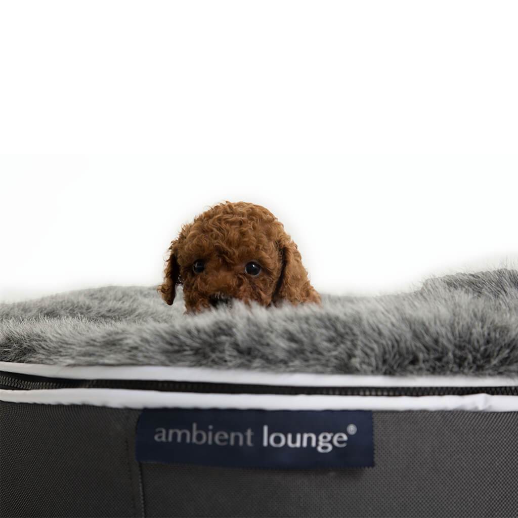 Лежак для собак Pet Lounge Small - Dark Grey (Original) — крупный план