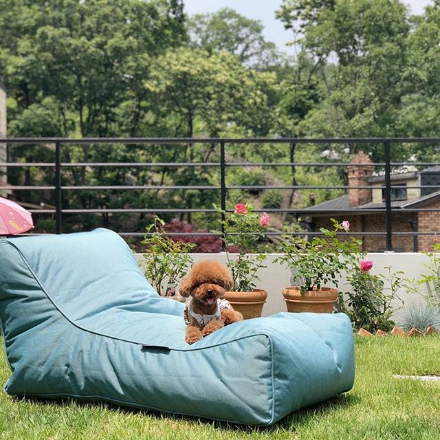 джинсово-синее уличный шезлонг Studio Lounger уличное (Oxford) в интерьере сад