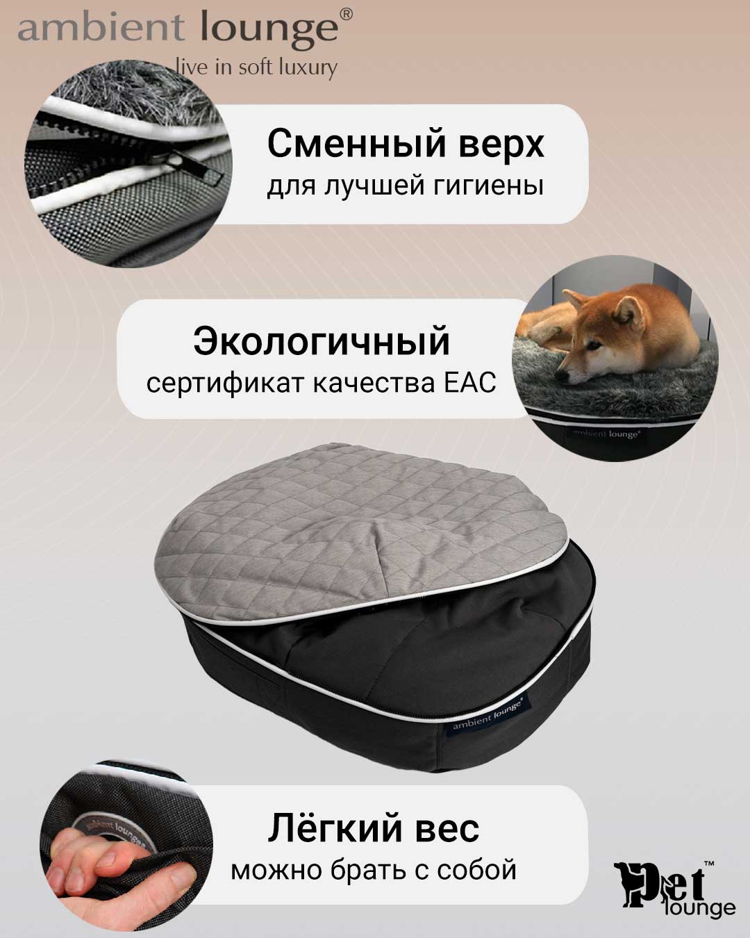 Лежак в интерьере гостиная
