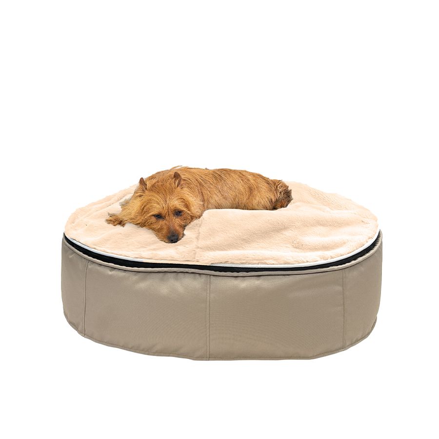 Лежак для кошек Pet Lounge Medium - Cappuccino (Premium) — крупный план